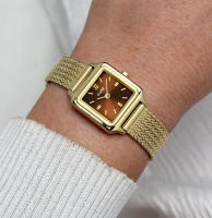 CLUSE Gracieuse Mini Goud Bruin
